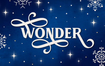 Wonder: A Family Advent Devotional